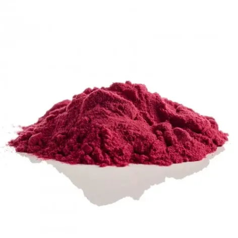 Blackcurrant Spray Dried Powder